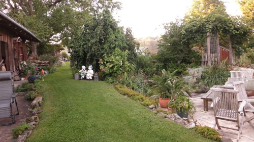 IMG 3731