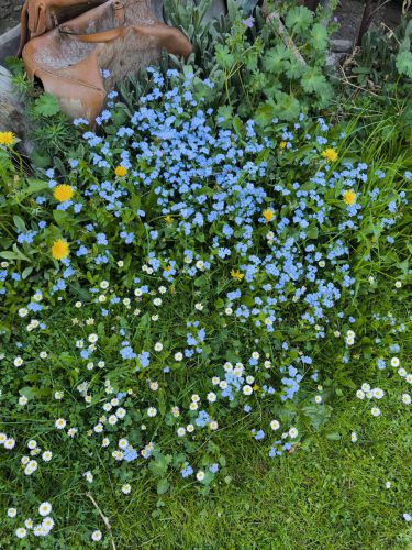 IMG 20250501 135454