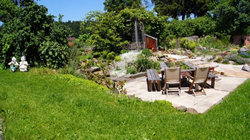 SONY DSC